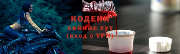 твердый Новозыбков
