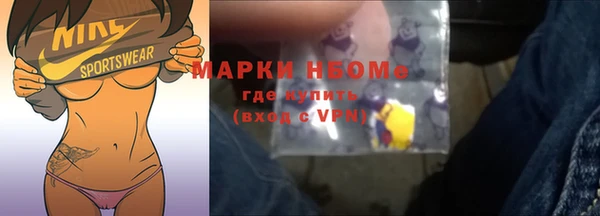 твердый Новозыбков