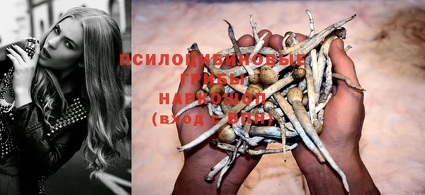 винт Новокубанск