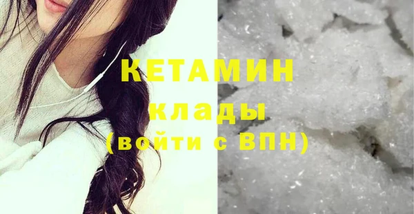 твердый Новозыбков