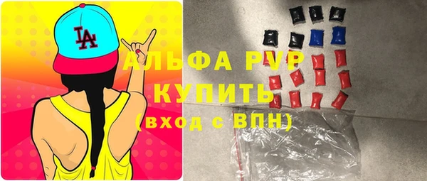 твердый Новозыбков