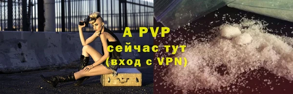 твердый Новозыбков